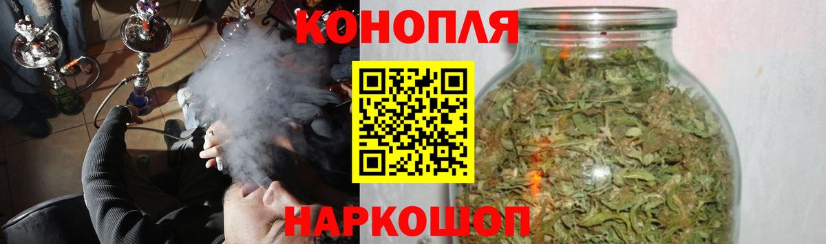 Бошки Шишки семена Соль-Илецк
